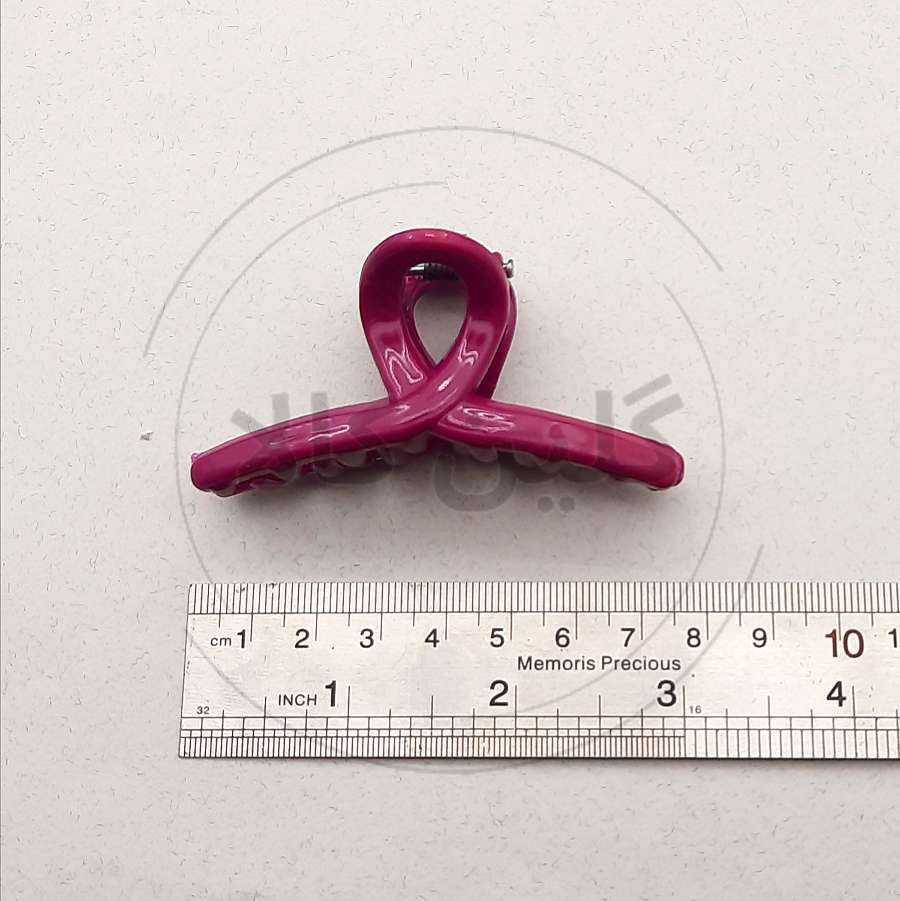  کلیپس روبان زنانه 