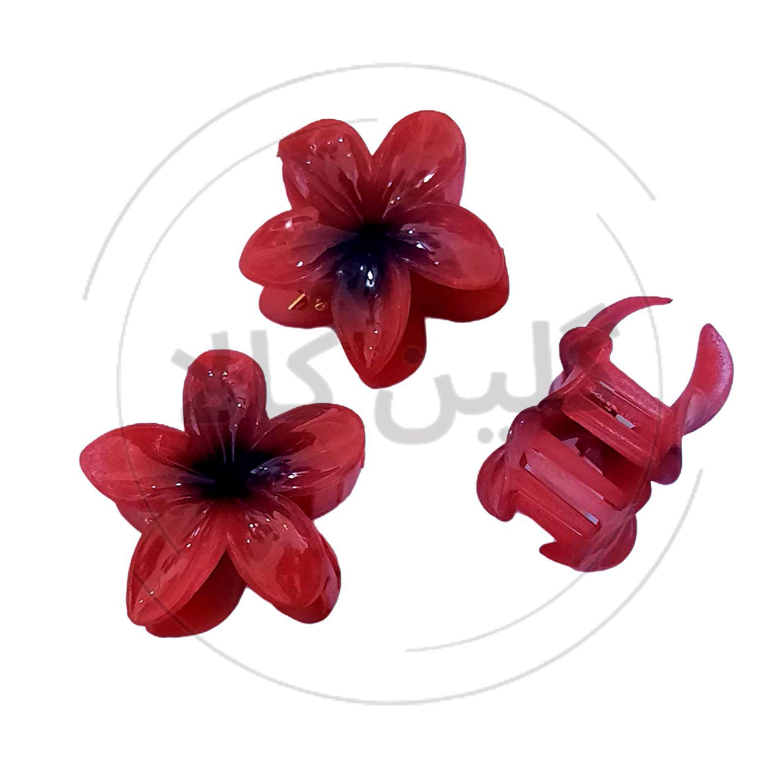  کلیپس یلدایی پلومریا 