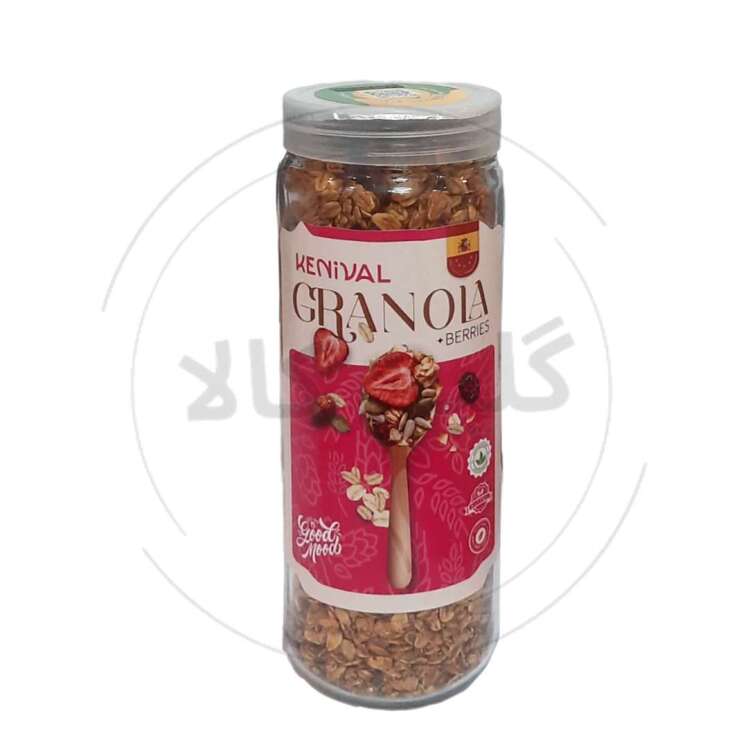 گرانولا کنیوال بری