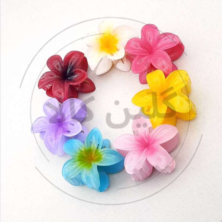 کلیپس یلدایی پلومریا