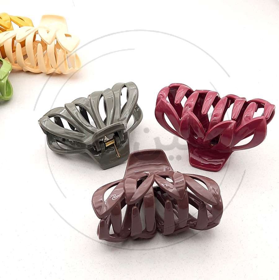  کلیپس دخترانه گلبرگ 