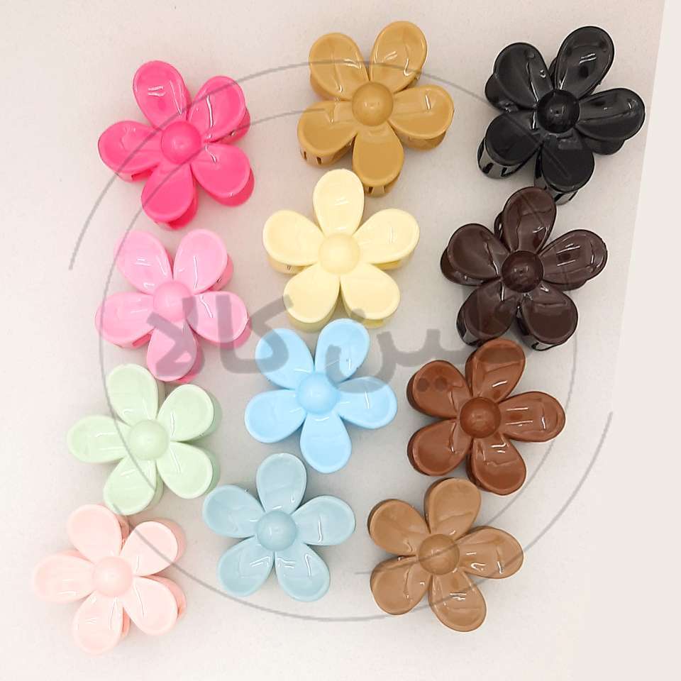  کلیپس گل بزرگ 